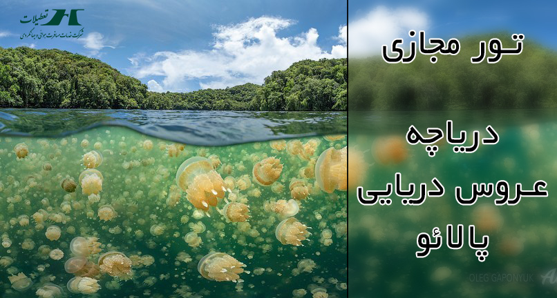 سفر مجازی به دریاچه عروس دریایی، پالائو