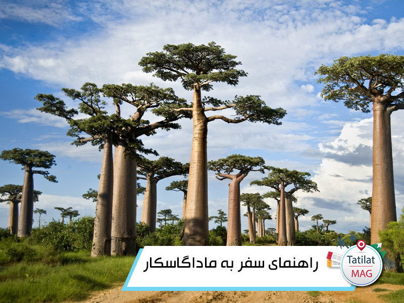 راهنمای گردشگری سفر به ماداگاسکار