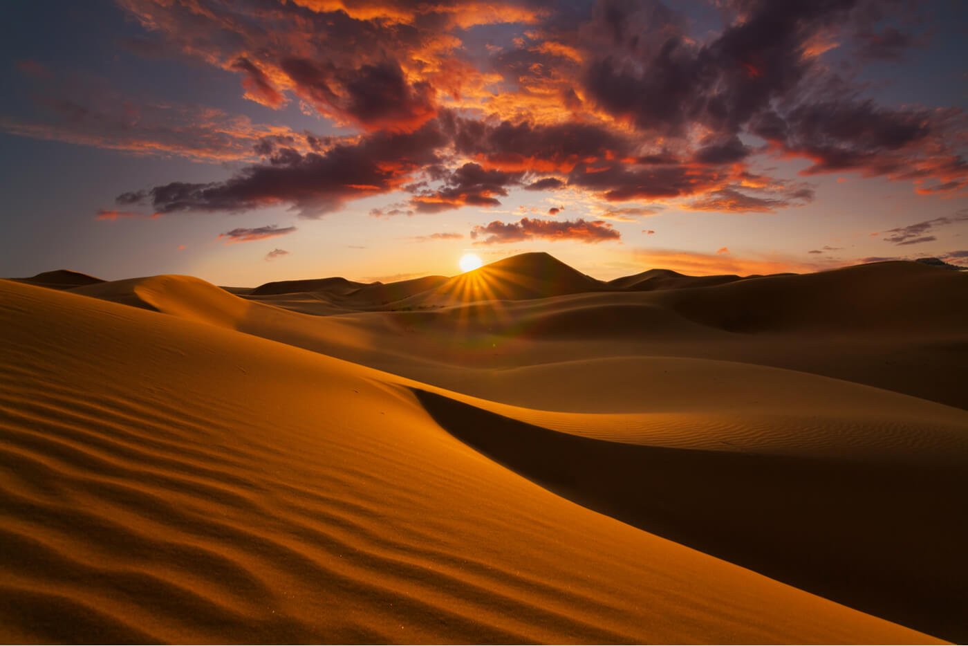 تور مجازی: صحرای بزرگ آفریقا – الجزایر
